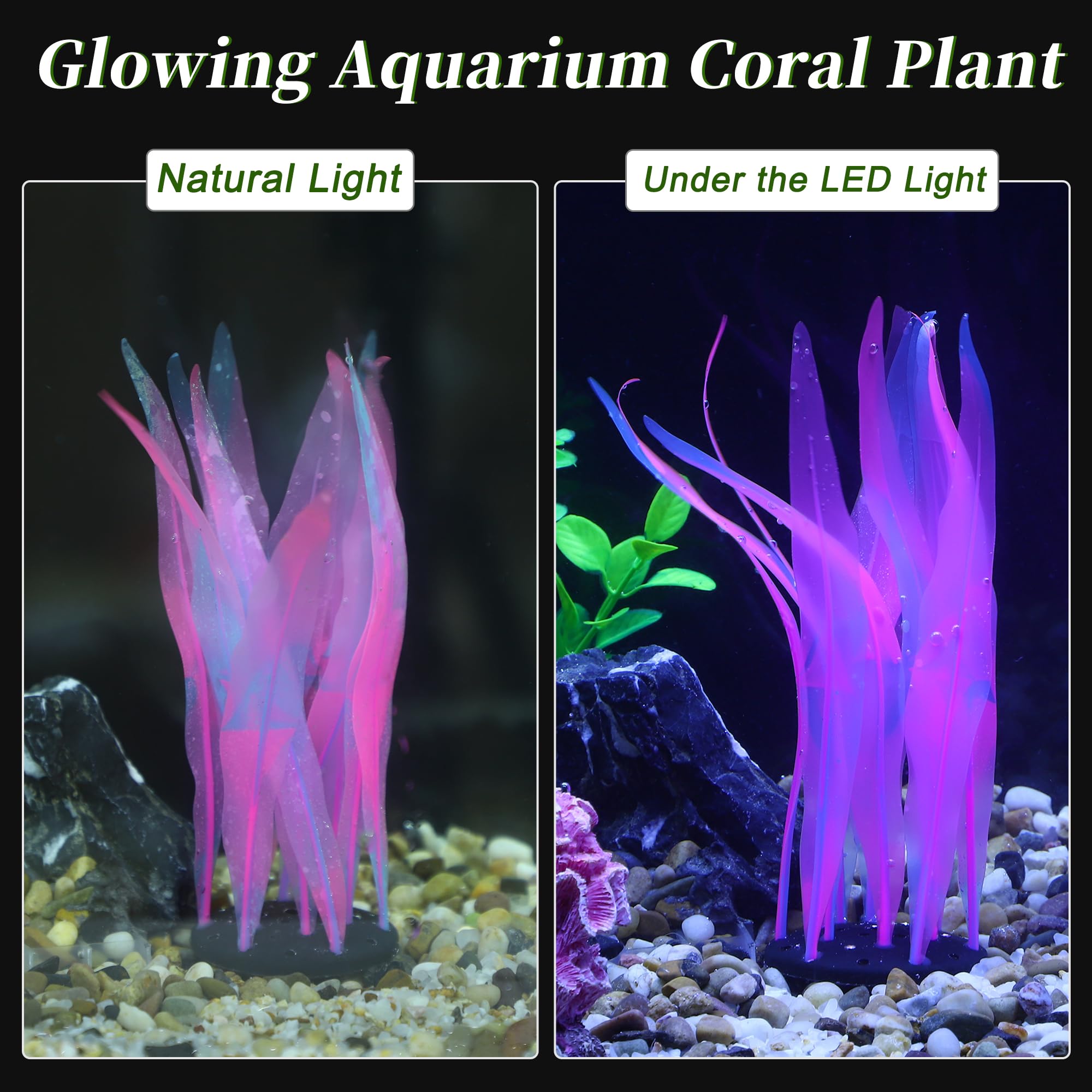 CAPASTEC fluorescence-ready decor glows under blue light for vivid tank ambiance.