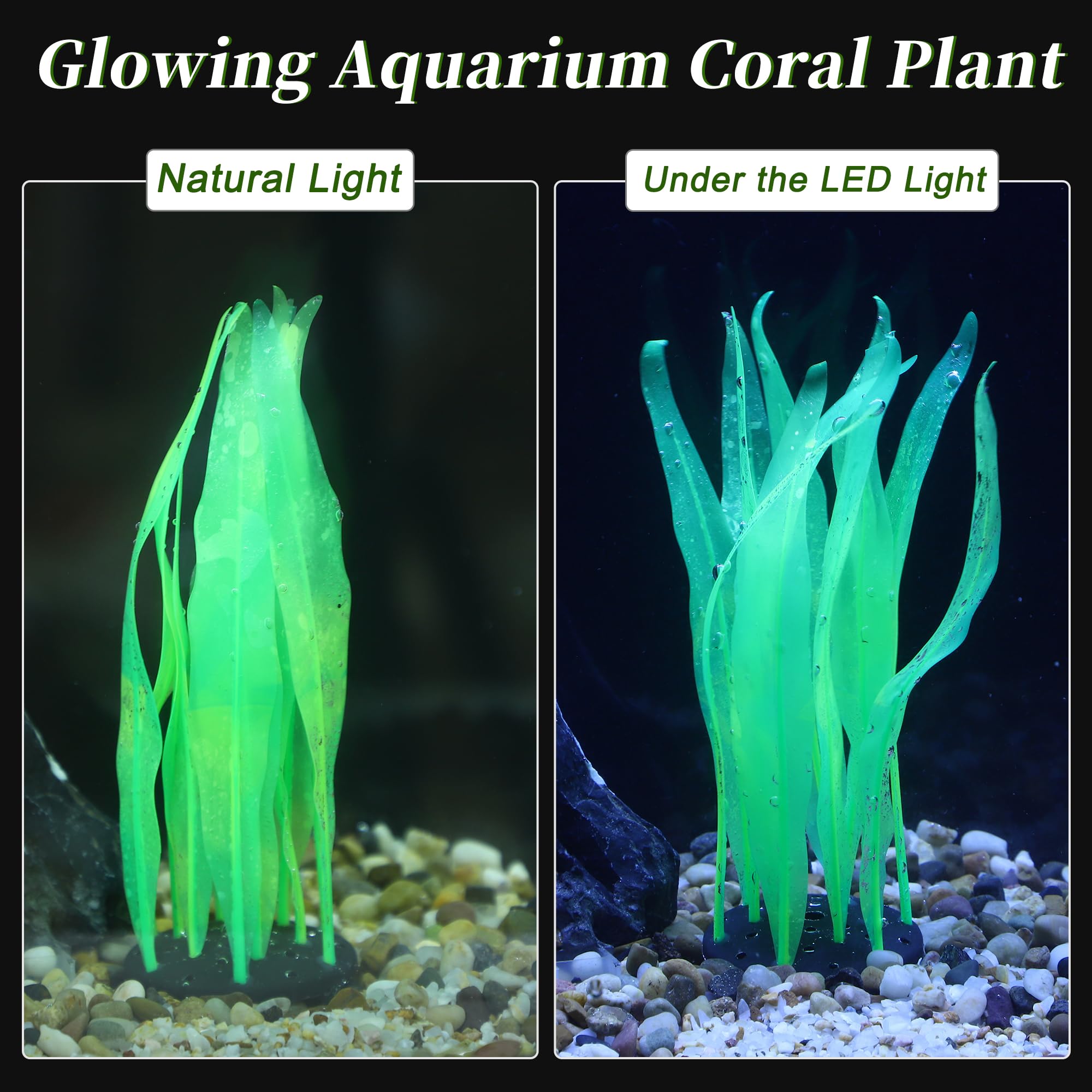 CAPASTEC glowing kelp plant with compact dimensions for small tanks.