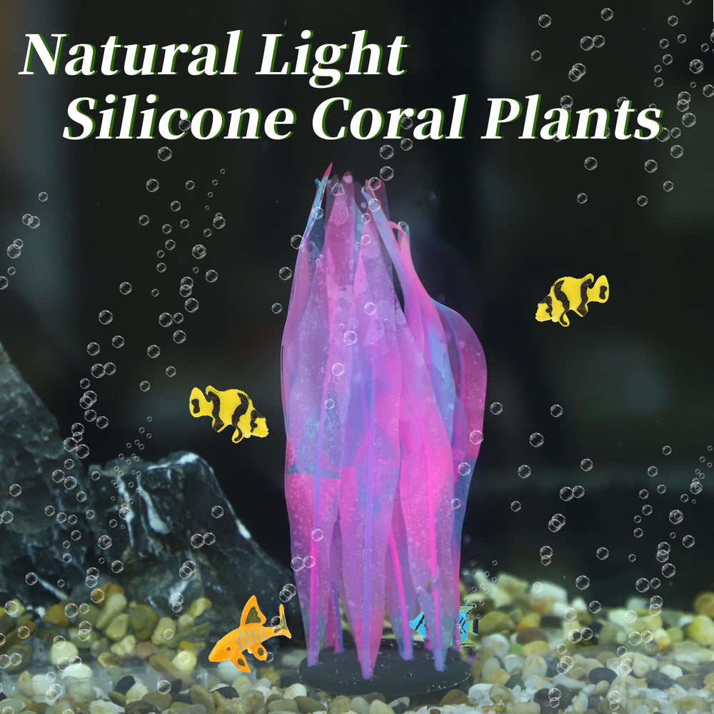 CAPASTEC two-pack pink kelp adds depth and color to aquariums.