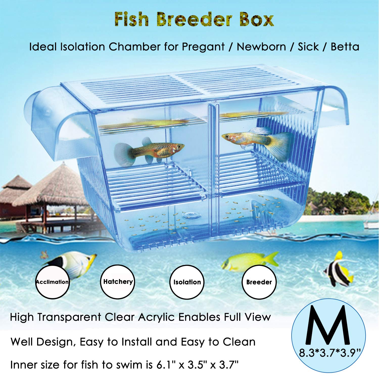 Capetsma fish breeder box front view showing secure fry habitat