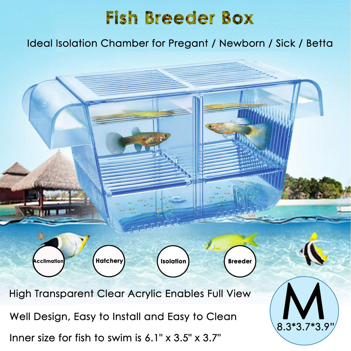 Capetsma fish breeder box front view showing secure fry habitat