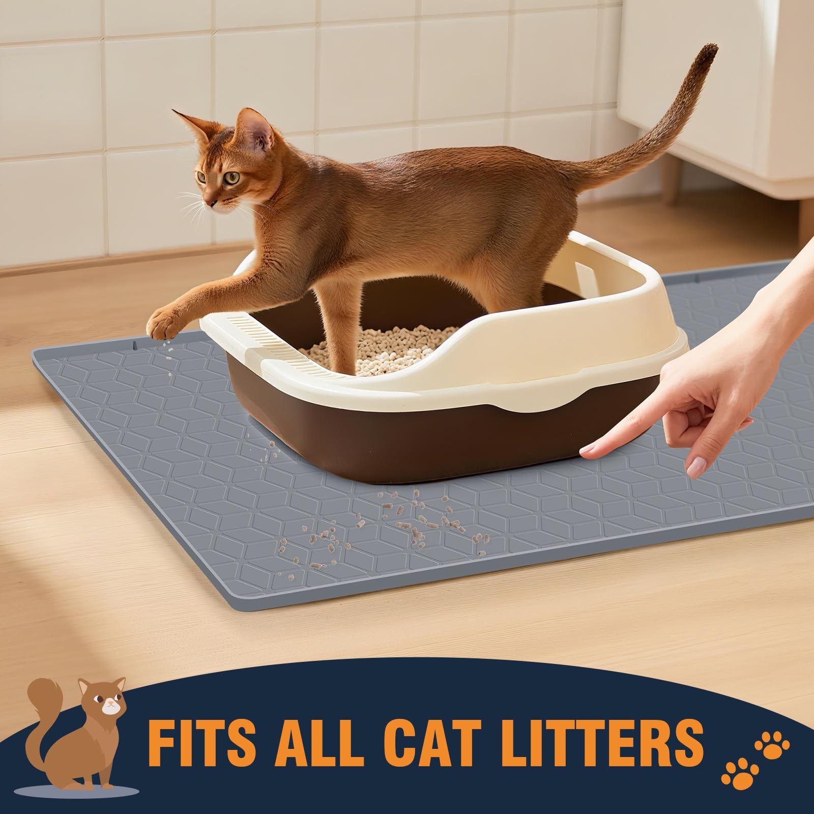 CappyBliss paw-safe silicone surface is gentle on paws during entry and exit.