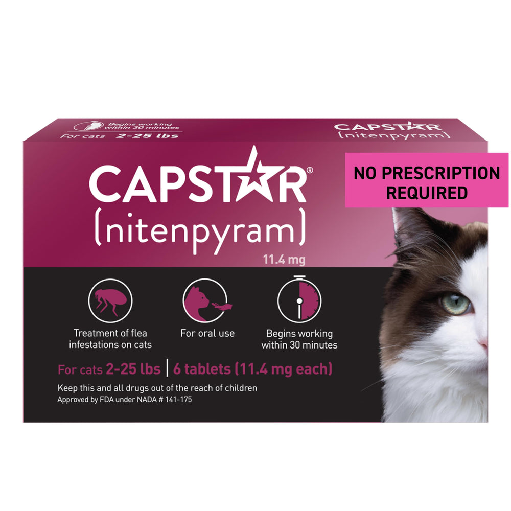 Capstar cat flea tablet close-up showing quick-acting flea control.