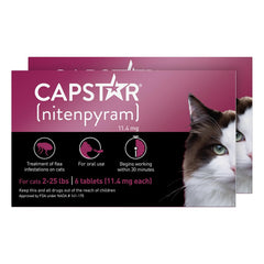 Capstar cat flea treatment packaging showing a fast-acting formula.