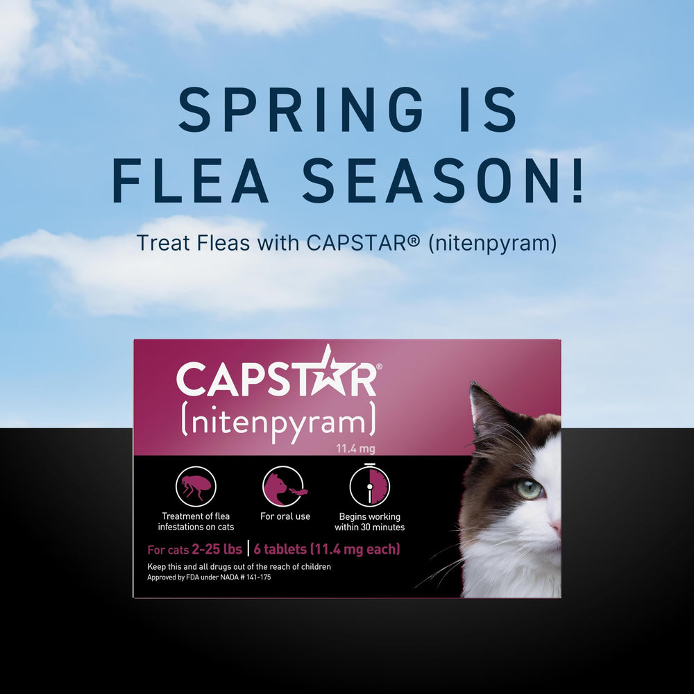 Capstar results show quick flea reduction for a calmer pet.