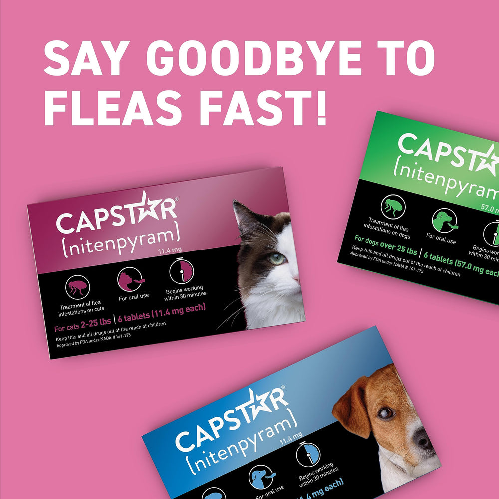 Cat relaxing calmly after Capstar flea treatment effect.