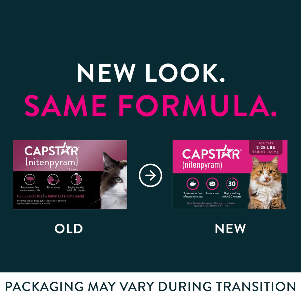 Capstar cat tablet in mouth demonstrates easy administration for pets.