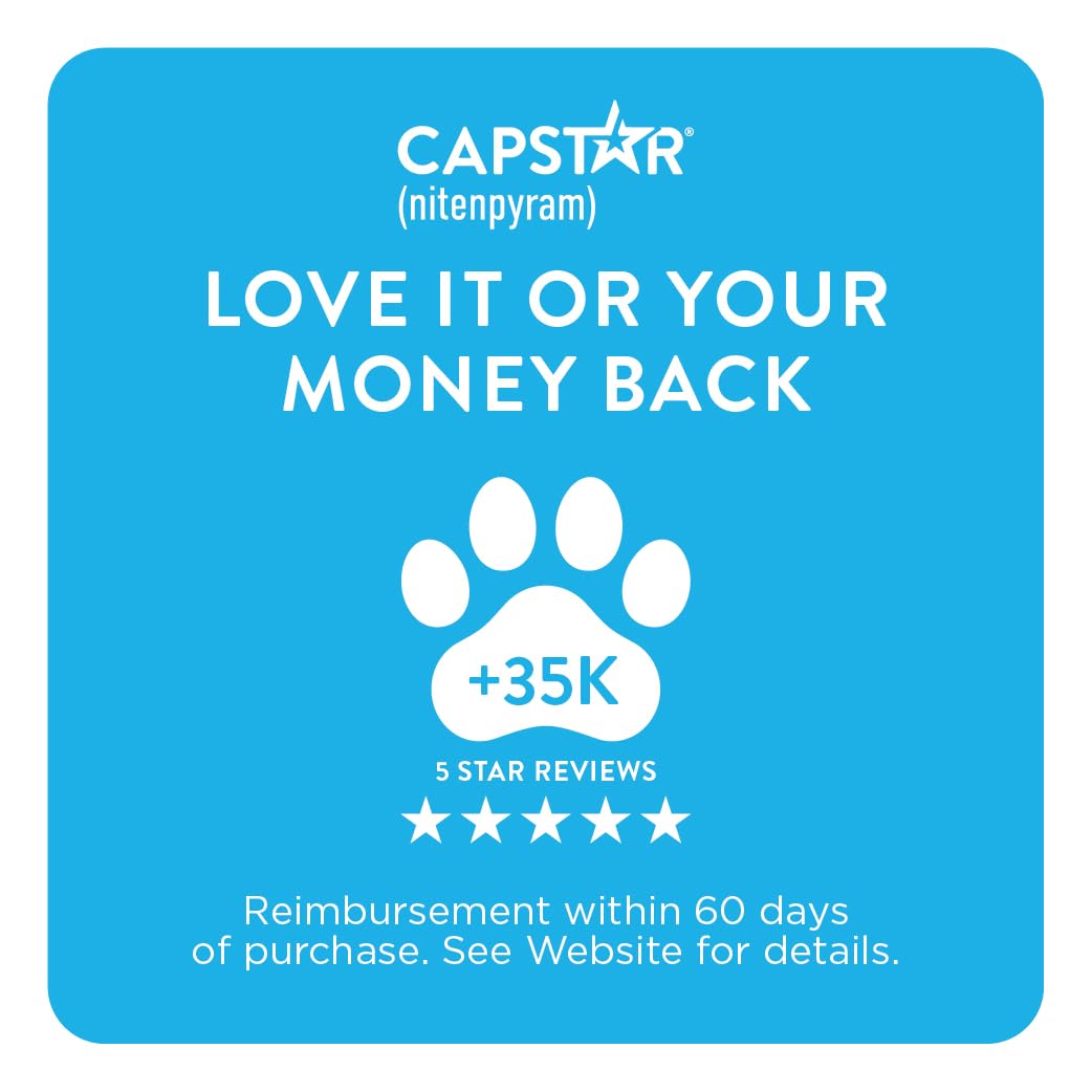 Capstar daily-dosing option depicted for flexible flea control.