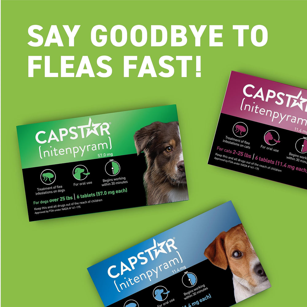 Capstar dogs 25.1–125 lb pack for large breeds.