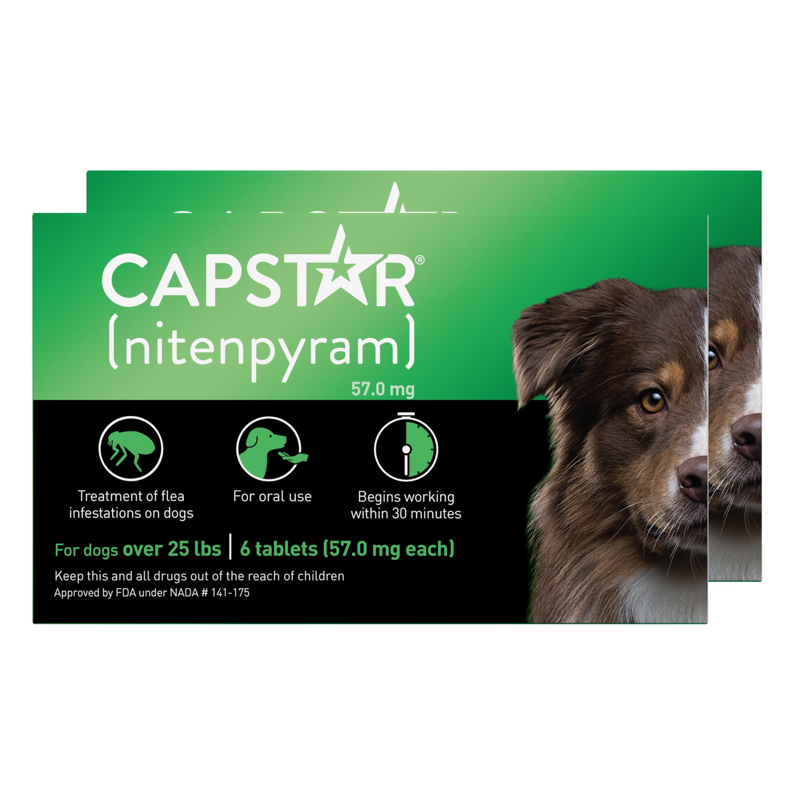 Capstar dog nitenpyram tablet front view for fast flea relief.