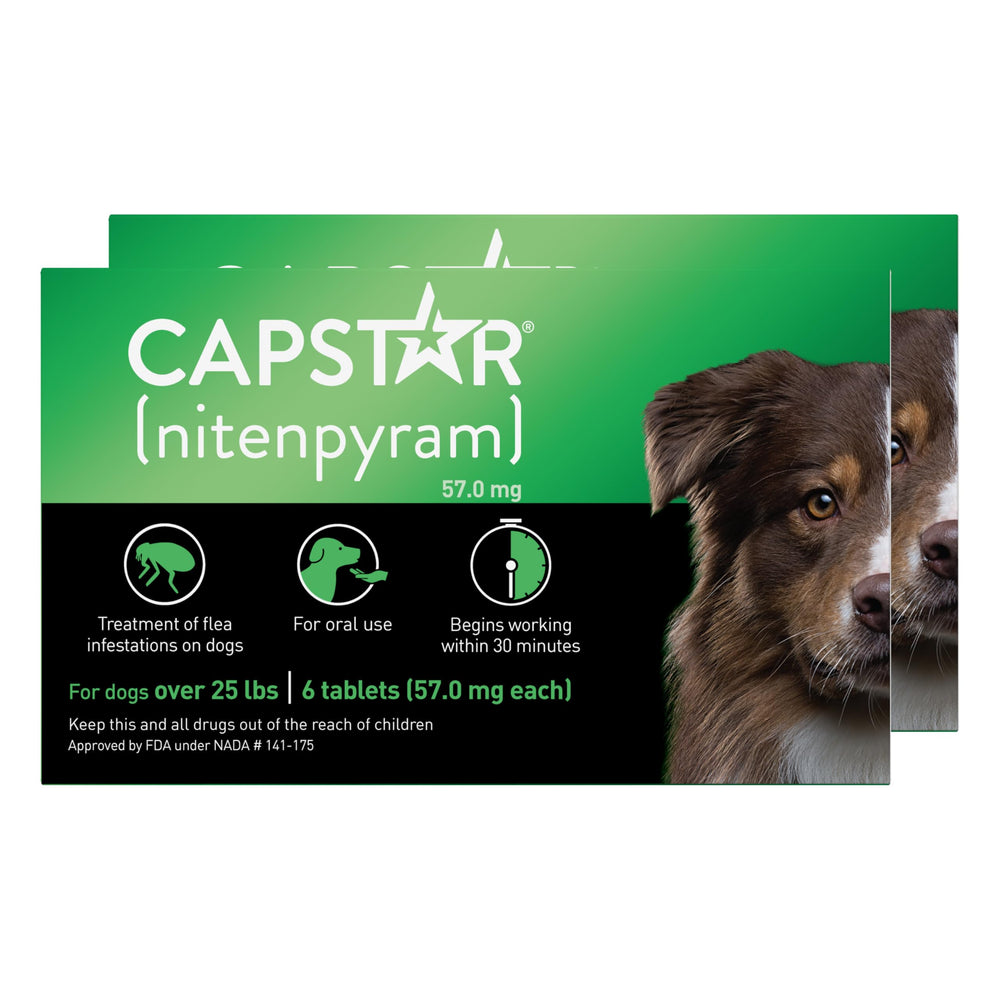 Capstar dog nitenpyram tablet front view for fast flea relief.