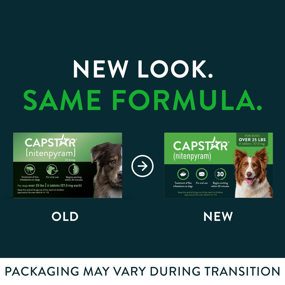Capstar dog oral flea-treatment packaging close-up for at-home flea control.
