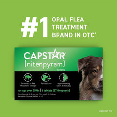 Capstar dog tablet dispense scene showing simple dosing for busy pet parents.