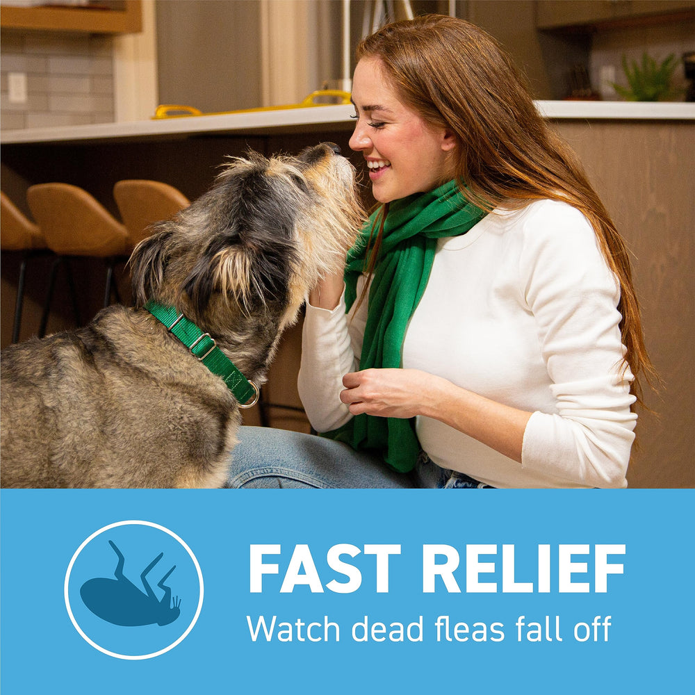 Capstar dosing guidance for reinfestations, safe daily use when needed.
