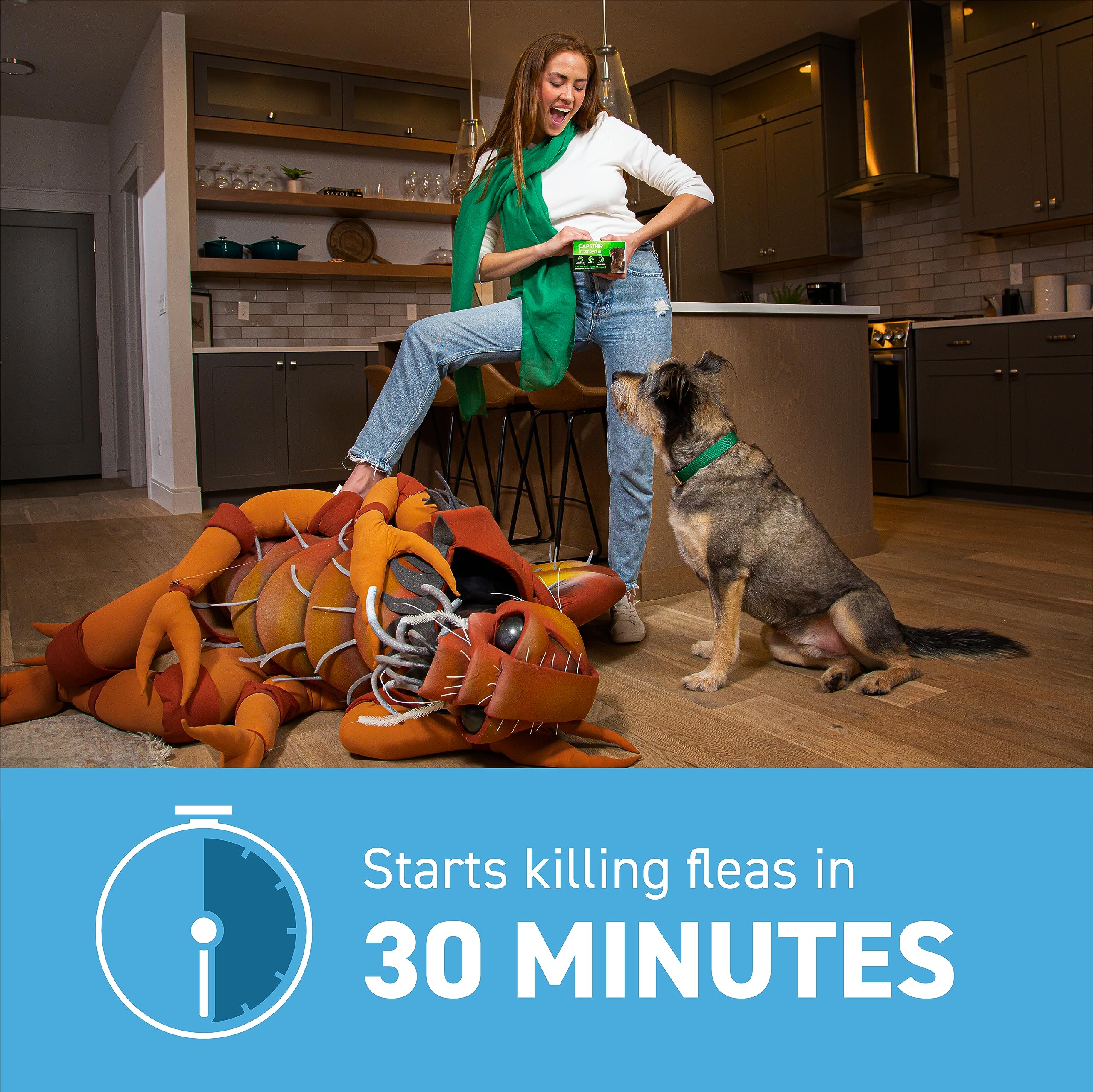 Capstar over-the-counter label highlights easy access for pet owners.