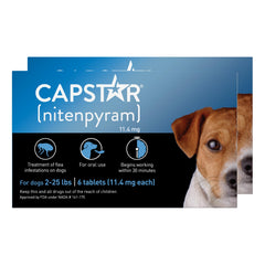 Capstar small-dog flea-tablet packaging shows fast action for fleas.