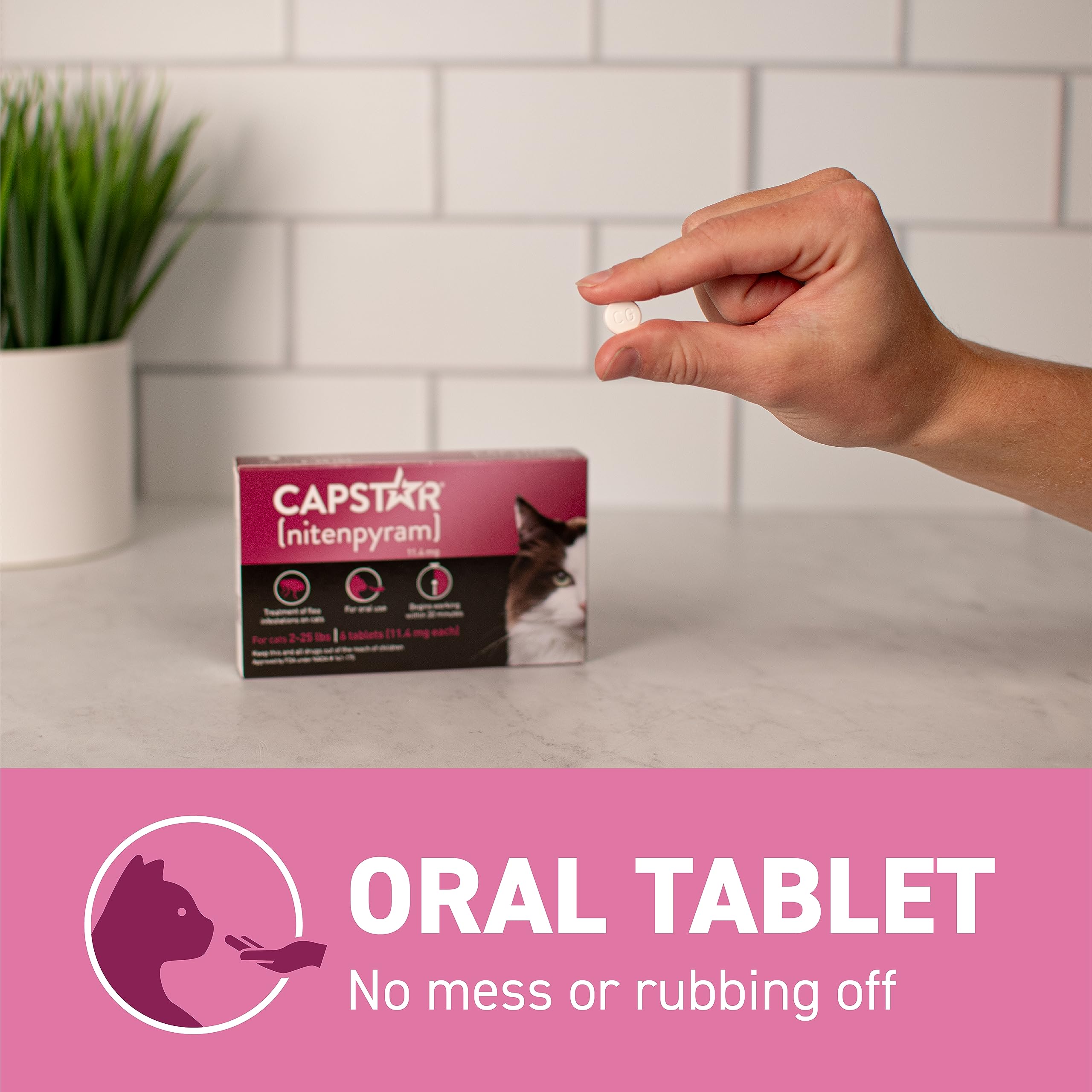 Two Capstar 6-count boxes laid out to show 12 doses.