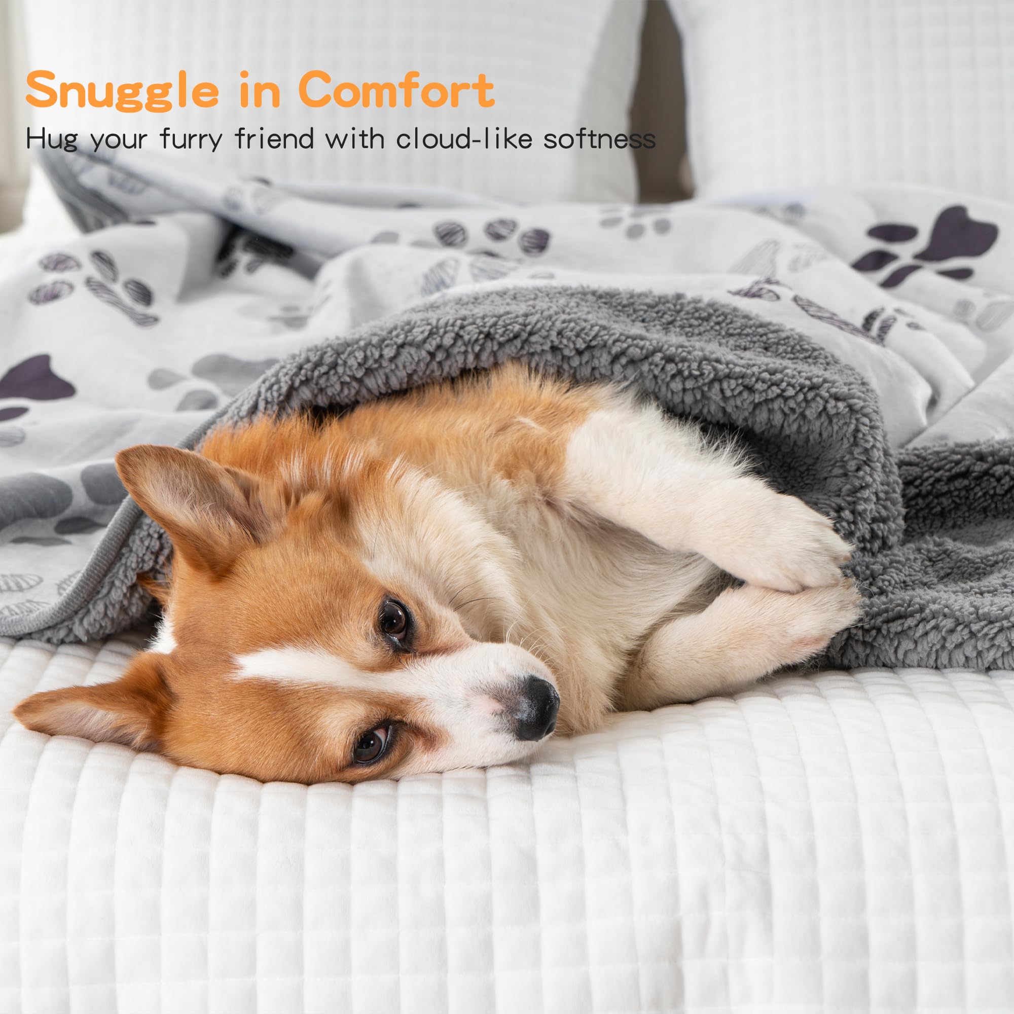 CAPT.SNOOZE large-dog blanket in light grey-paws blends with decor