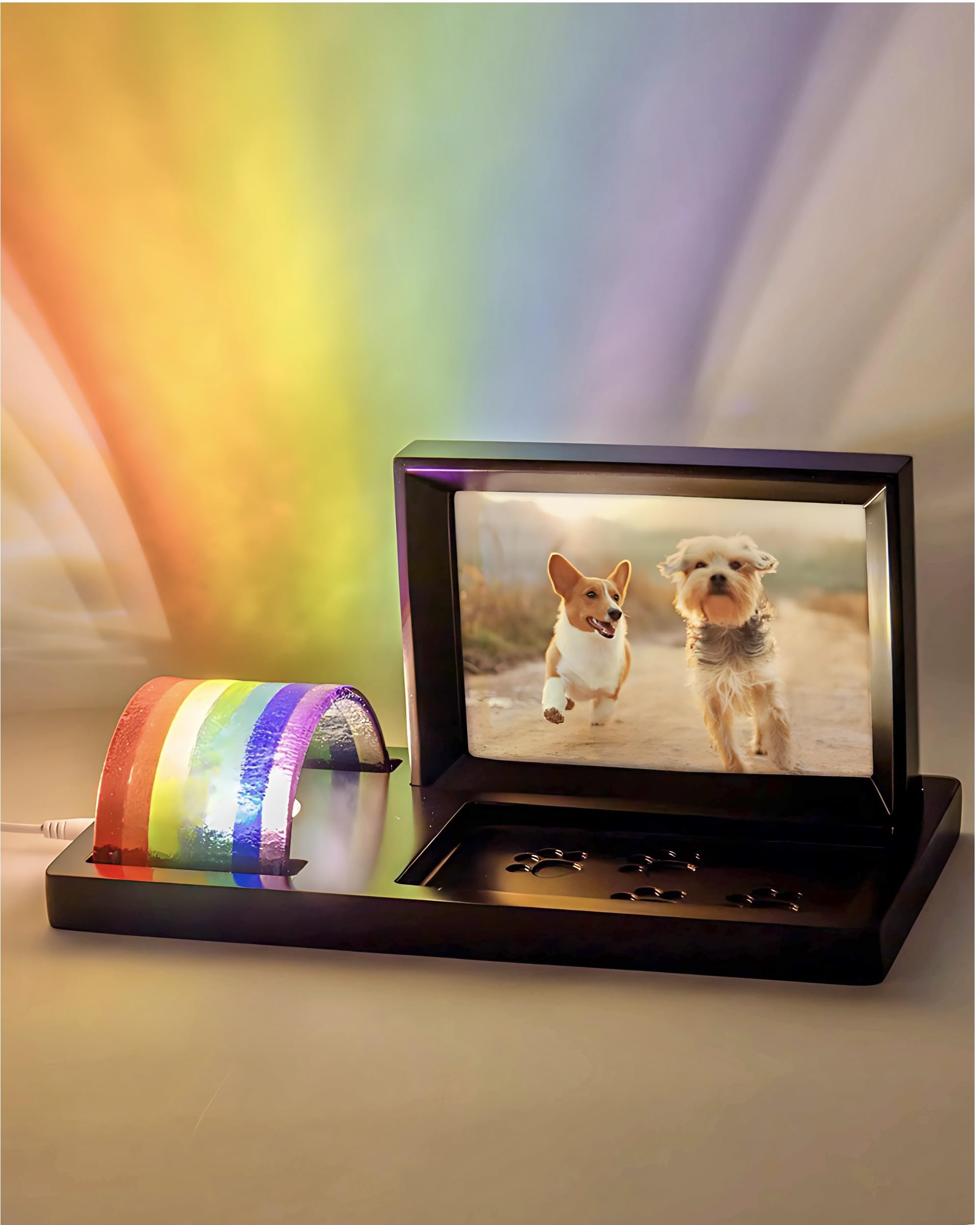 Capti rainbow bridge light dog frame illuminates cherished memories of a beloved pet