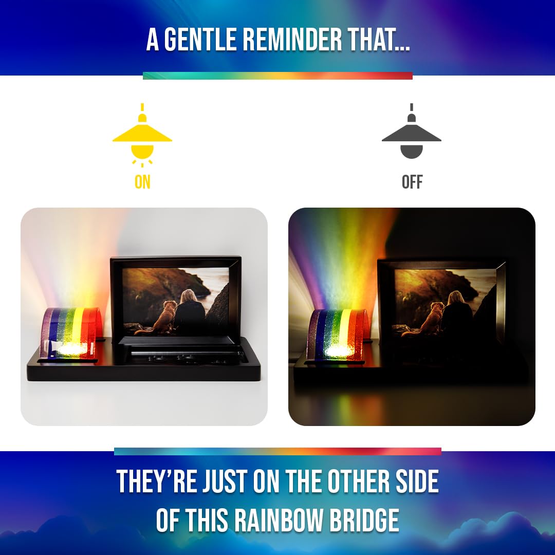 Capti rainbow glass bridge panel highlights a real fused rainbow scene for wall display
