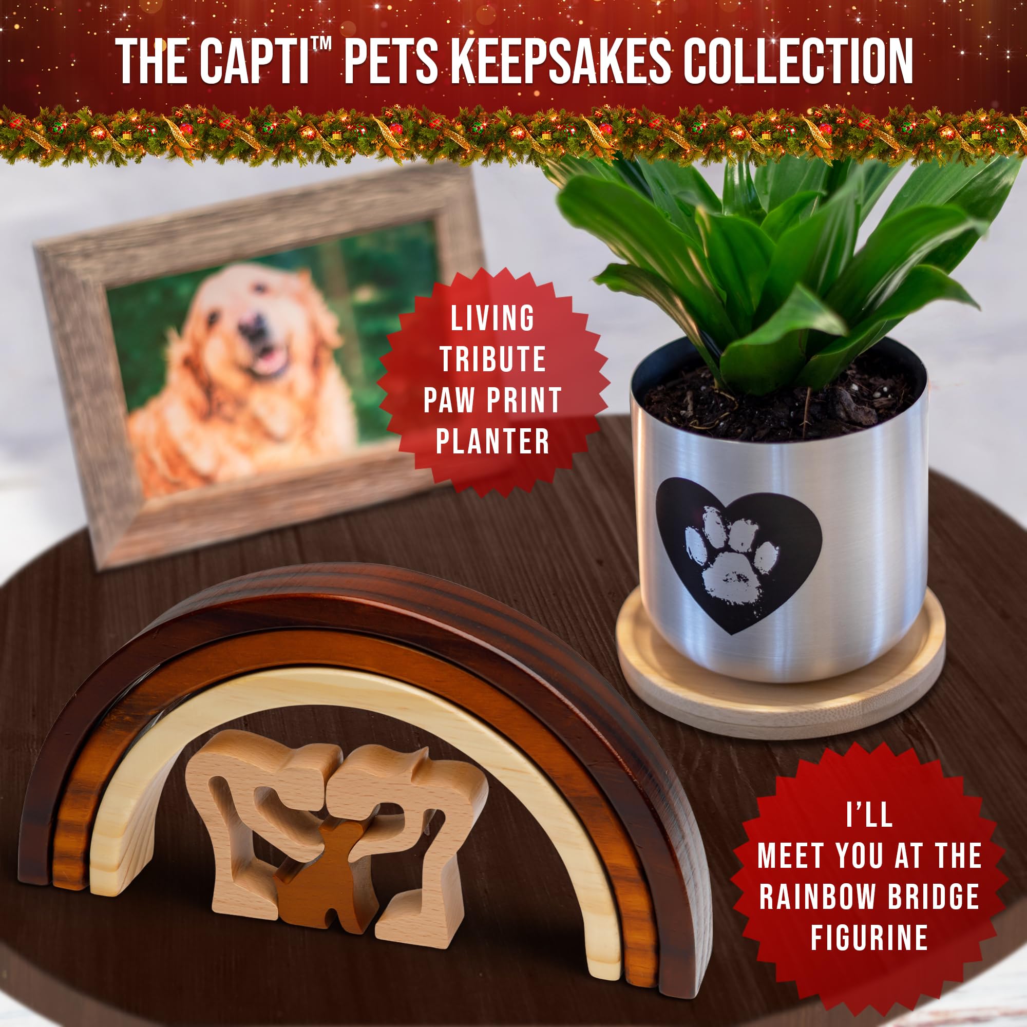 Capti sustainable pet memorial, eco-friendly wood that honors dogs with warmth.