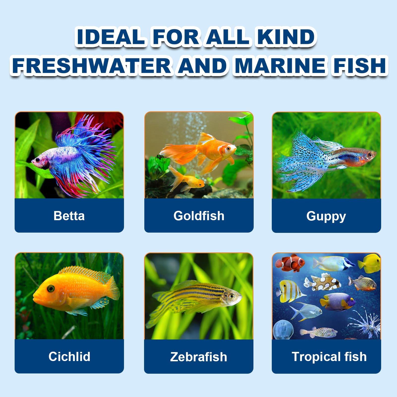 Capuca Freeze Dried Brine Shrimp Cubes promote natural color and health in fish