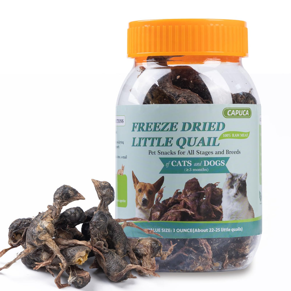 Capuca freeze-dried quail treats for cats—standalone snack with protein.