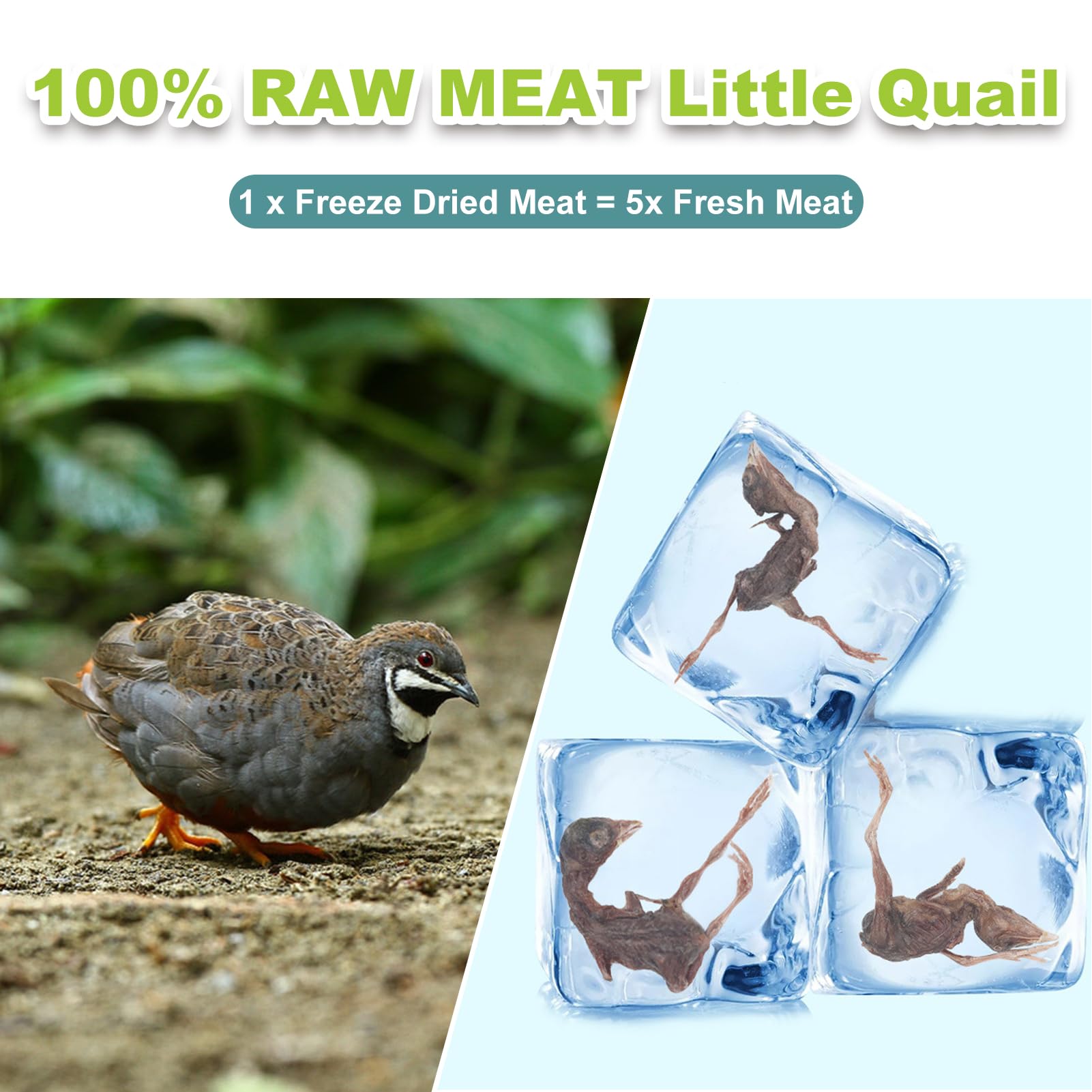 Capuca quail treats for dogs—high-protein training reward in a resealable jar.