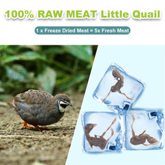 Capuca quail treats for dogs—high-protein training reward in a resealable jar.