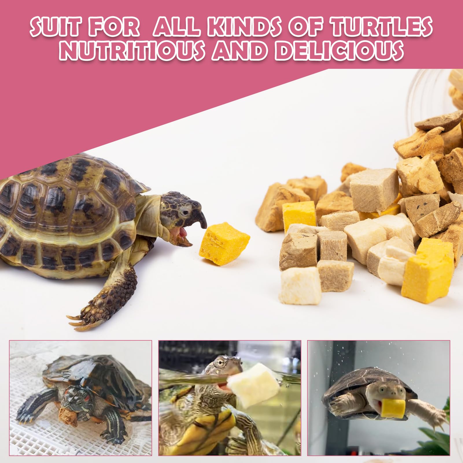 Turtle shell shows healthy color after Capuca balanced feeding