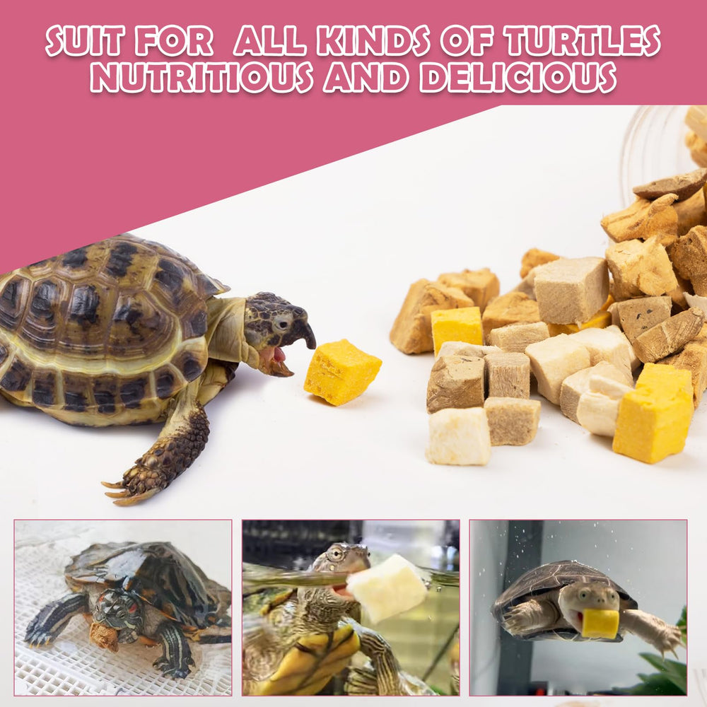 Turtle shell shows healthy color after Capuca balanced feeding