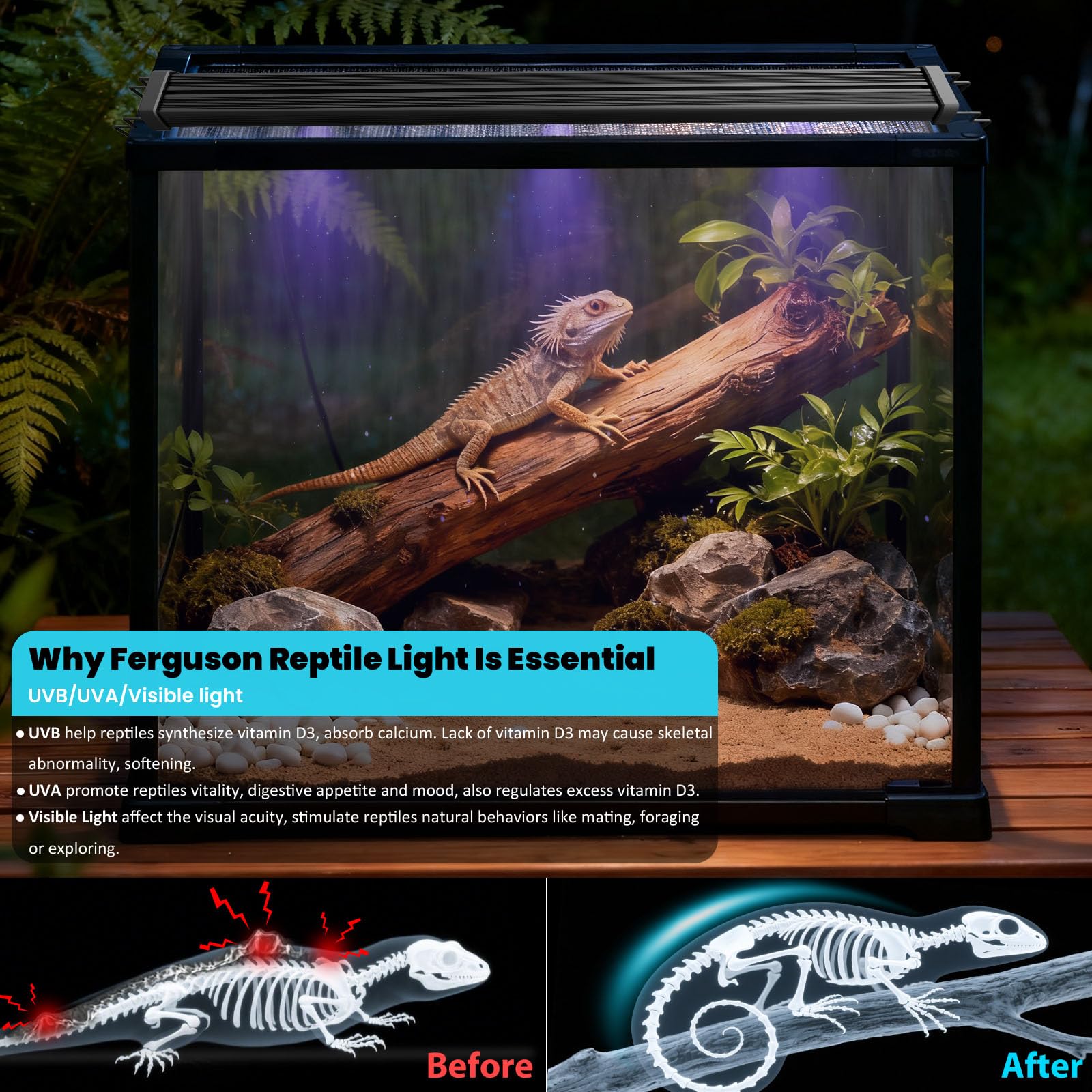 Capybland UVB light installation options illustrate flexibility in terrarium setup.