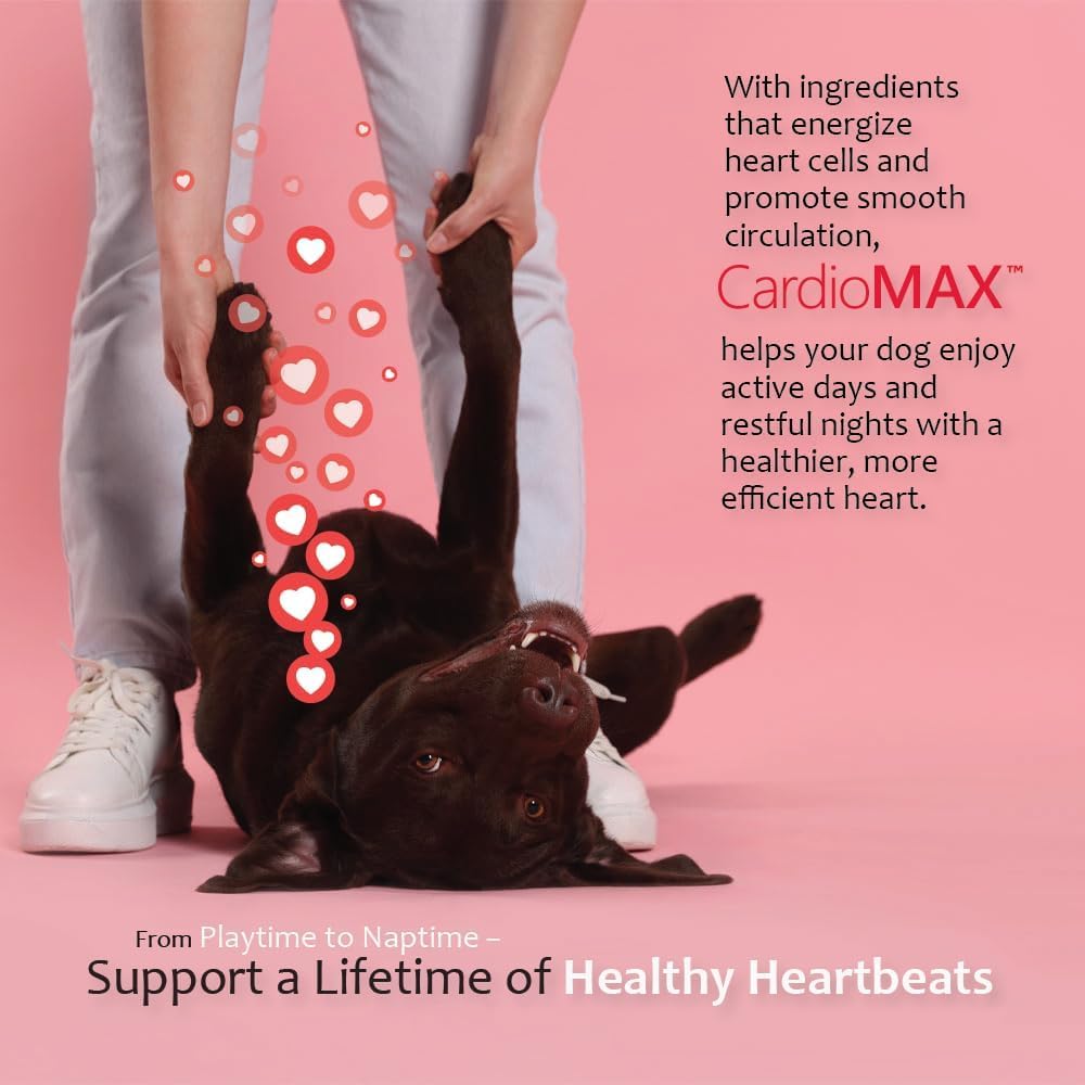 CardioMAX 90-dose granules for medium to large dogs shown in container.