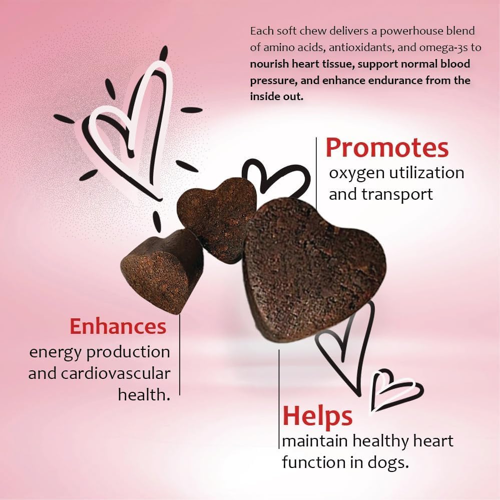 CardioMAX coq10 and omega-3 imagery signals antioxidants and fatty acids for circulation.