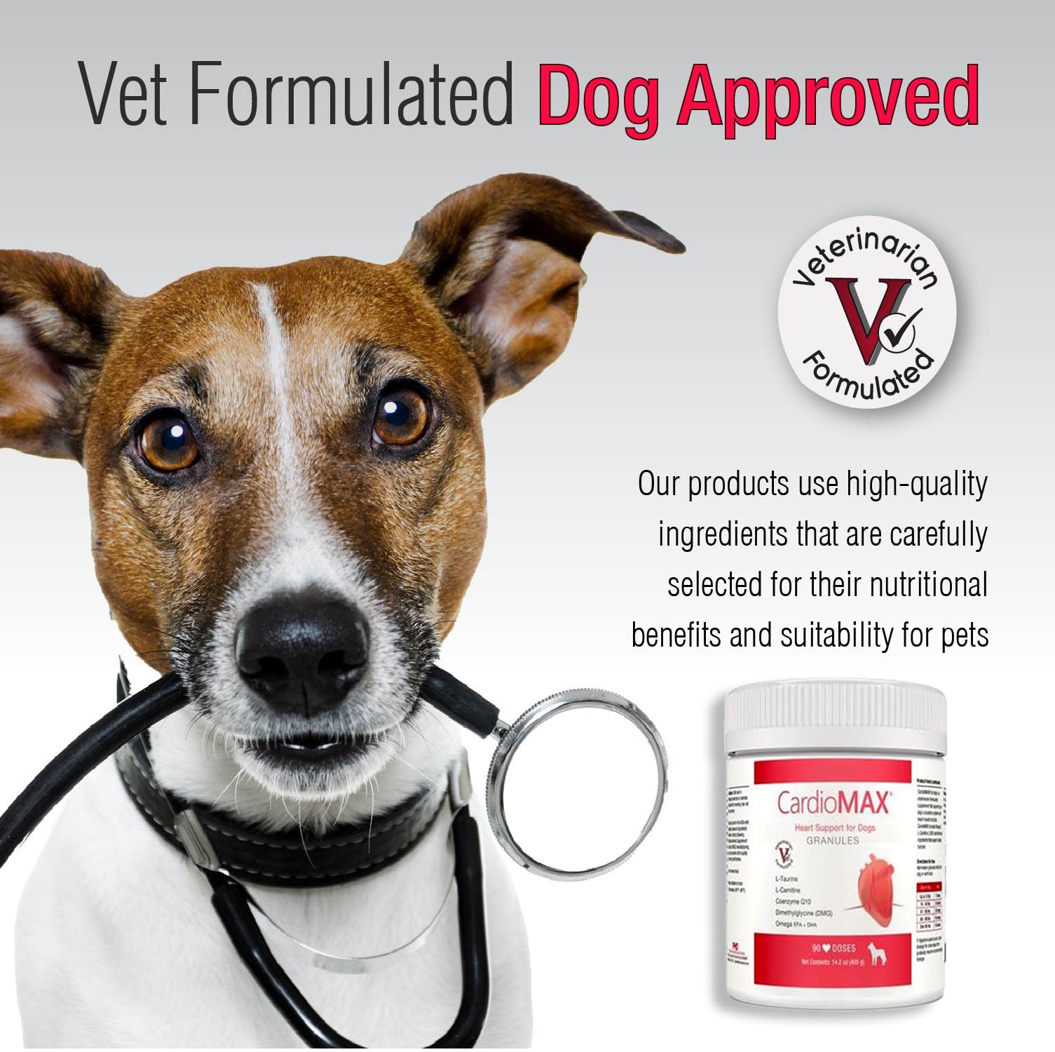 Dog receiving CARDIOMAX dose during feeding time for daily heart support.