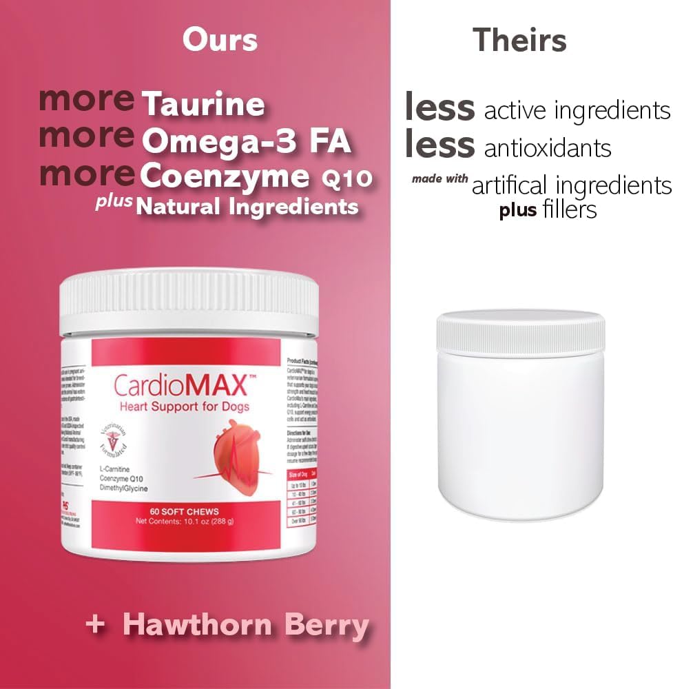 CardioMAX dog owner feeding chews illustrate stress-free daily routine.