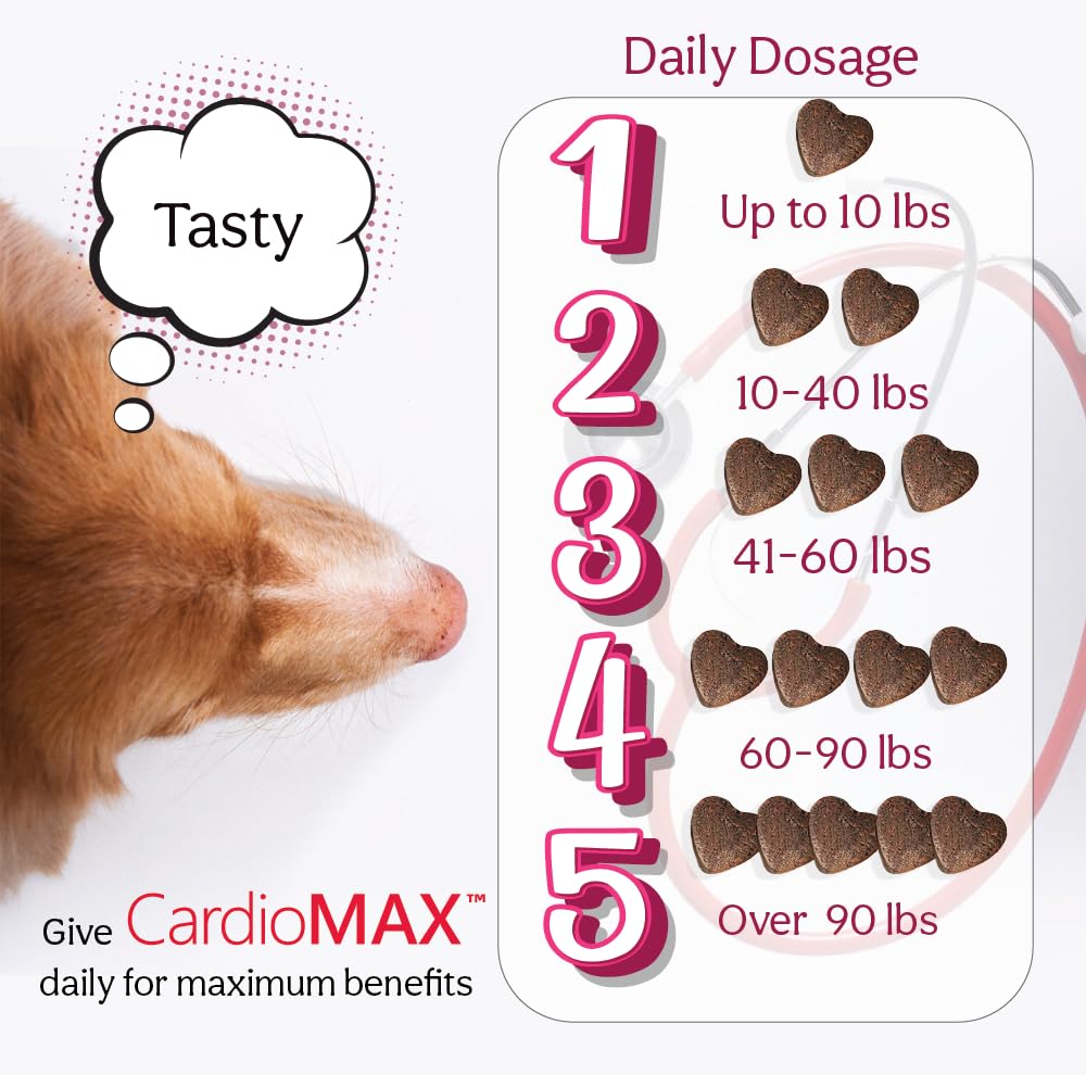 CardioMAX heart health scene with dog resting after activity.