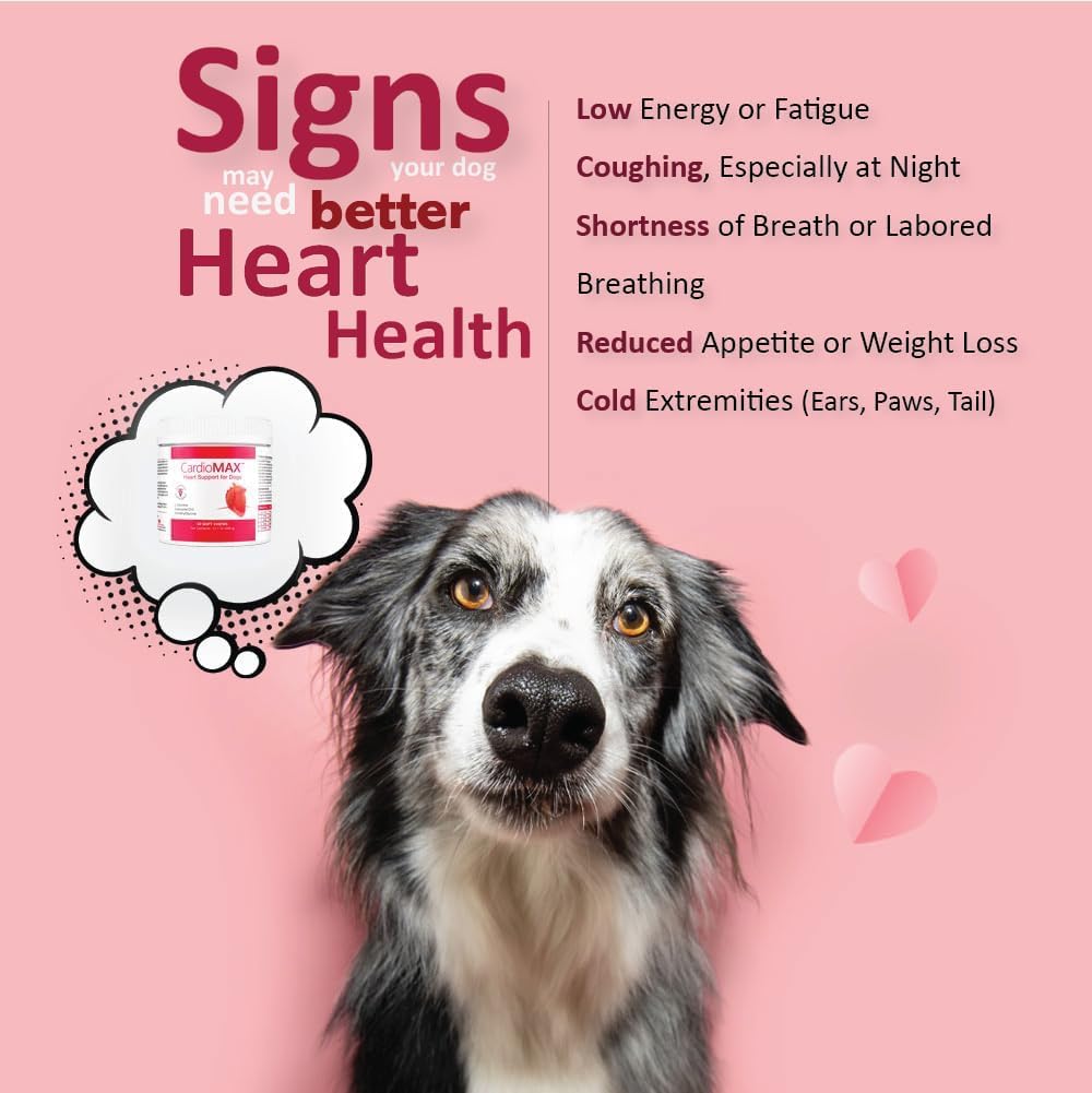 CardioMAX soft chews pork liver flavor offer a palatable daily heart support.