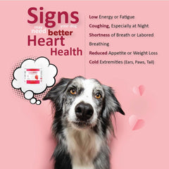 CardioMAX soft chews pork liver flavor offer a palatable daily heart support.