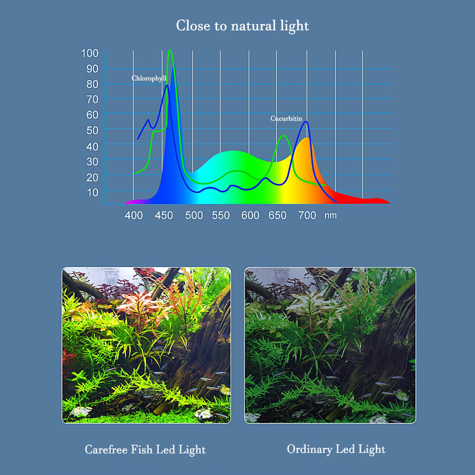 Carefree Fish LED light clip angle view showing secure mount for various tanks.