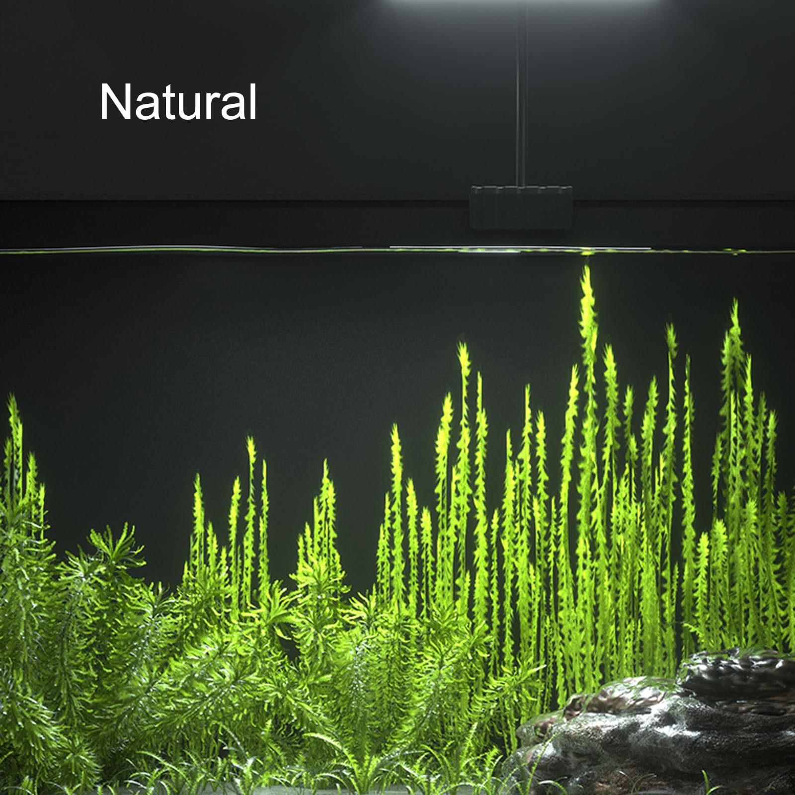 Carefree Fish LED light RGBW color options for dynamic tank ambience.