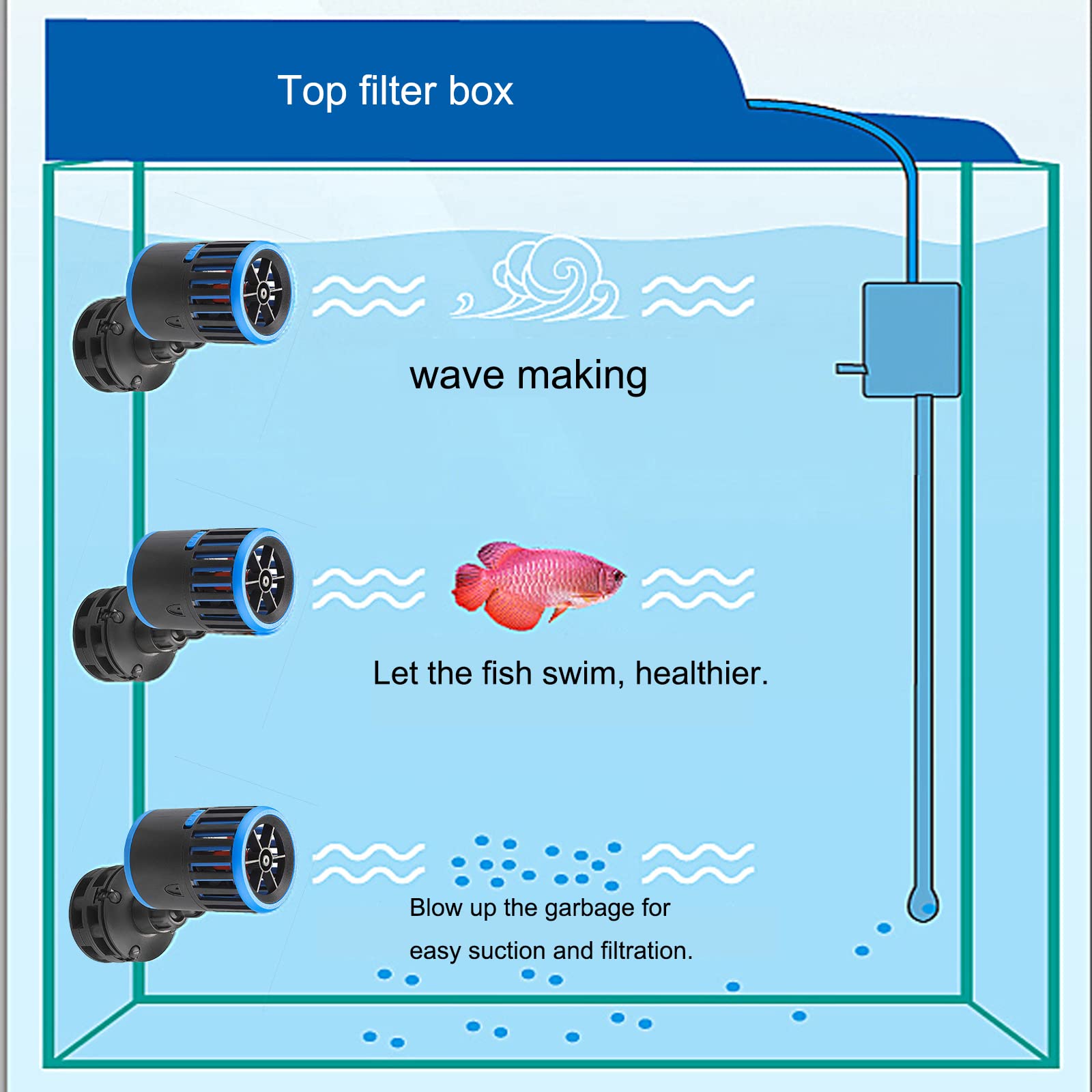 Visible water flow in tank supports improved oxygenation and debris removal.
