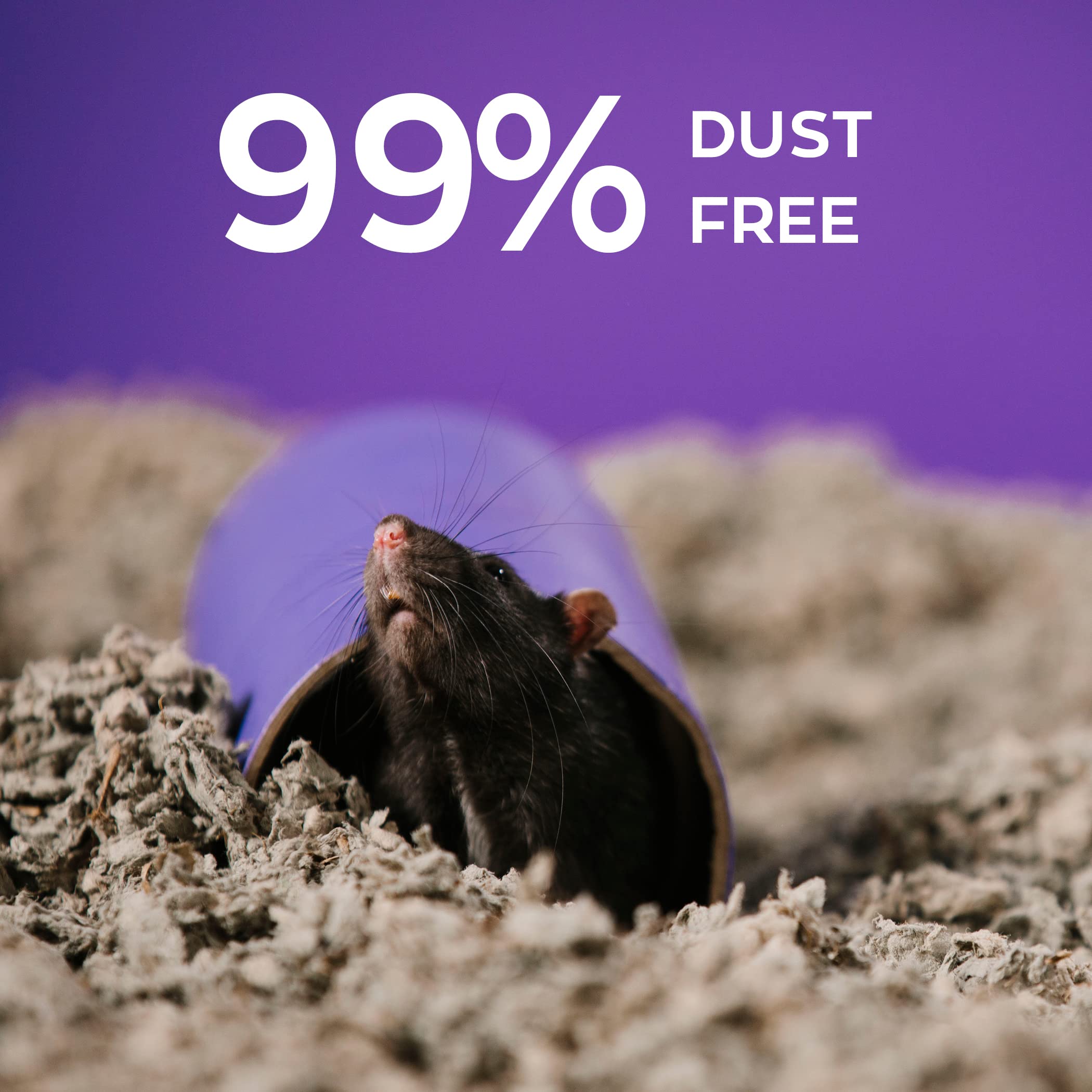 Carefresh close-up texture displaying ultra-absorbent bedding for tiny companions