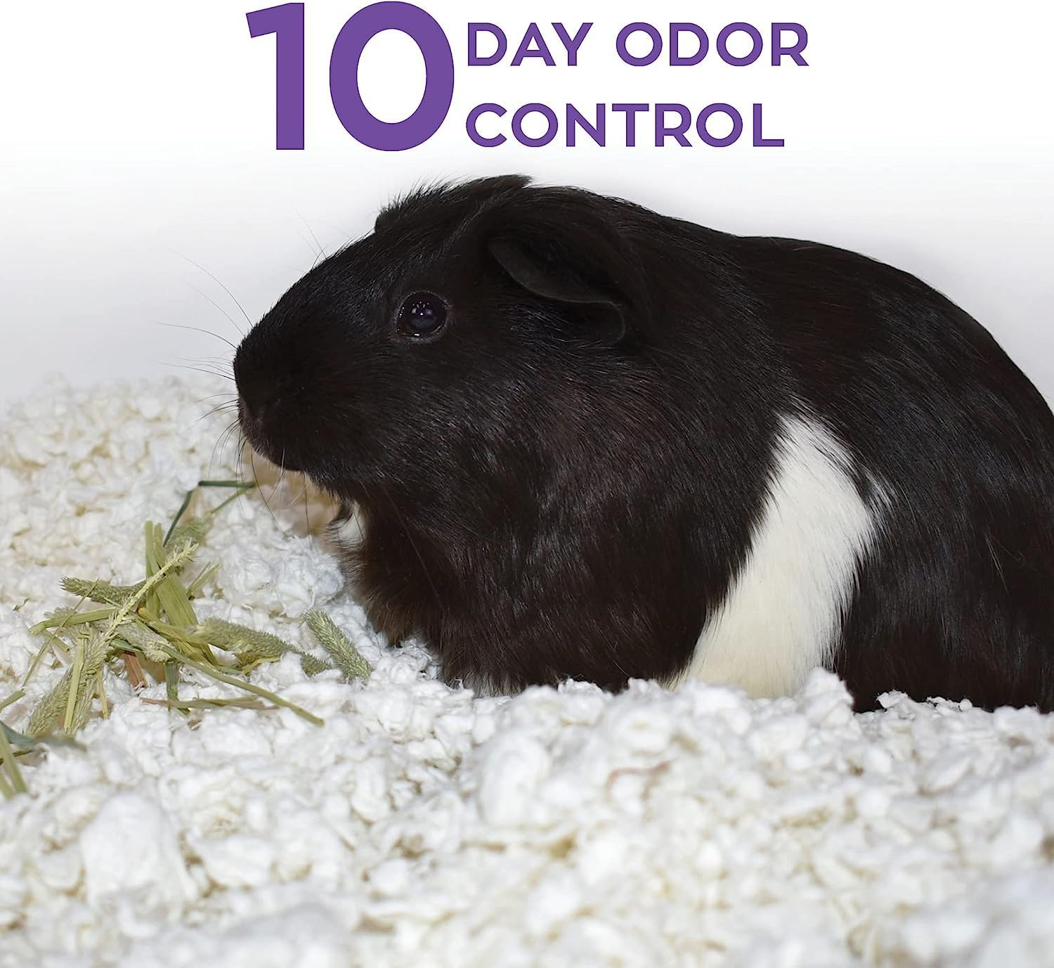 Carefresh ultra-absorbent bedding keeps habitats dry and tidy.