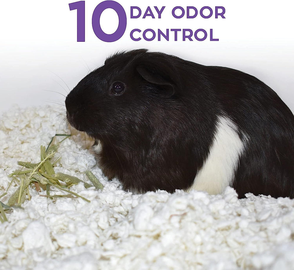 Carefresh ultra-absorbent bedding keeps habitats dry and tidy.