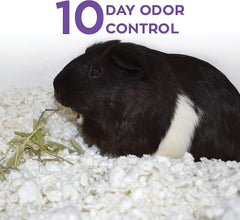 Carefresh ultra-absorbent bedding keeps habitats dry and tidy.