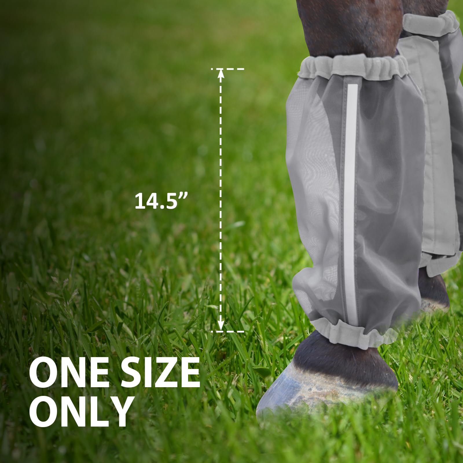 CareMaster easy-clean boots, suitable for stall or pasture use