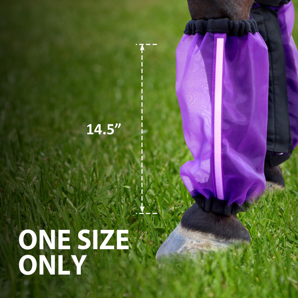 CareMaster four-pack purple leg wraps ready for riding and turnout