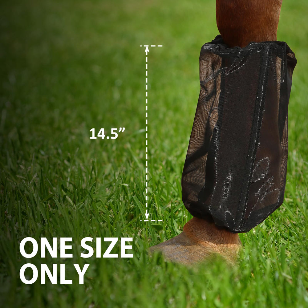 CareMaster universal-size set of four, multi-color options for easy fitting and matching.