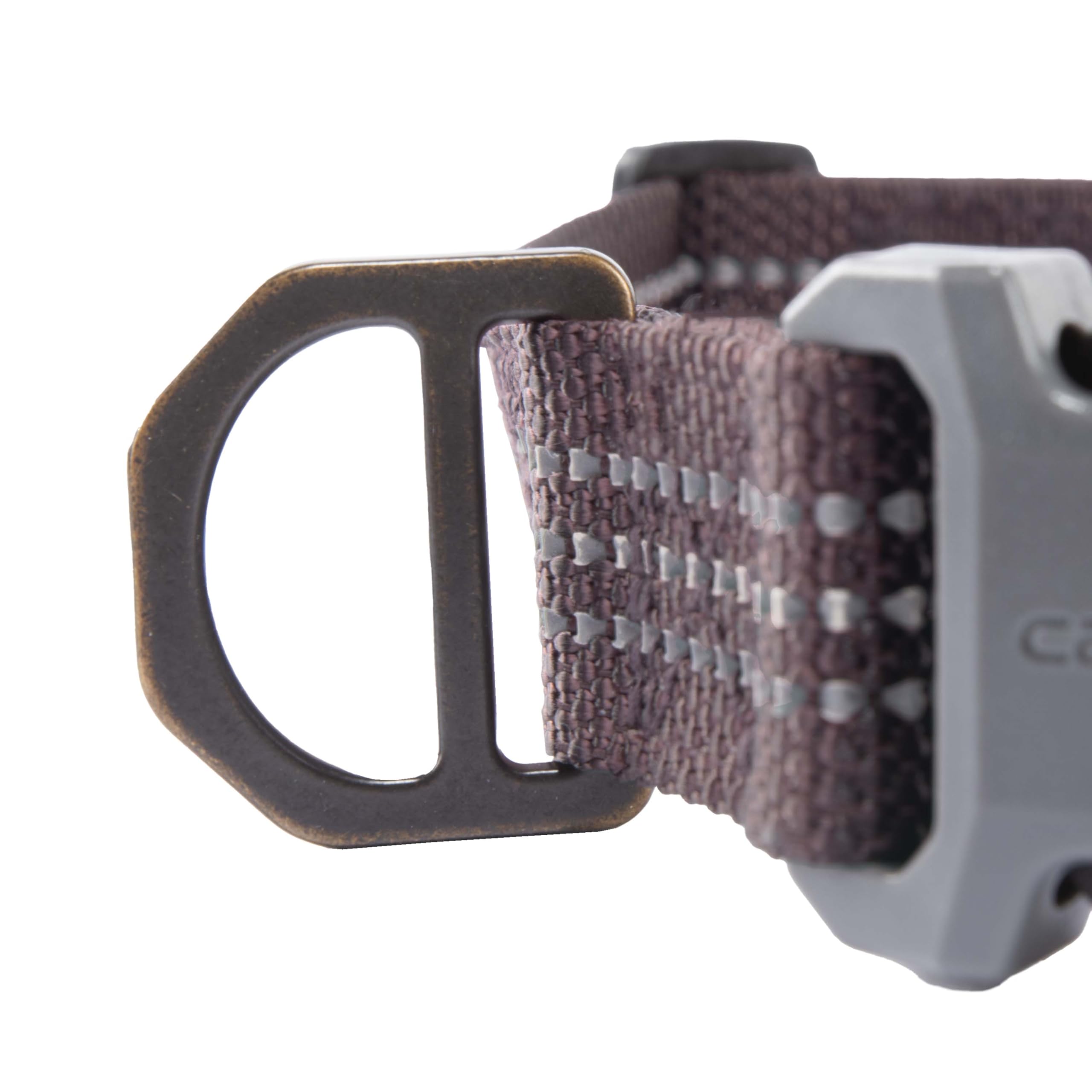 Large size collar fits 18-26 inches with adjustable strap.
